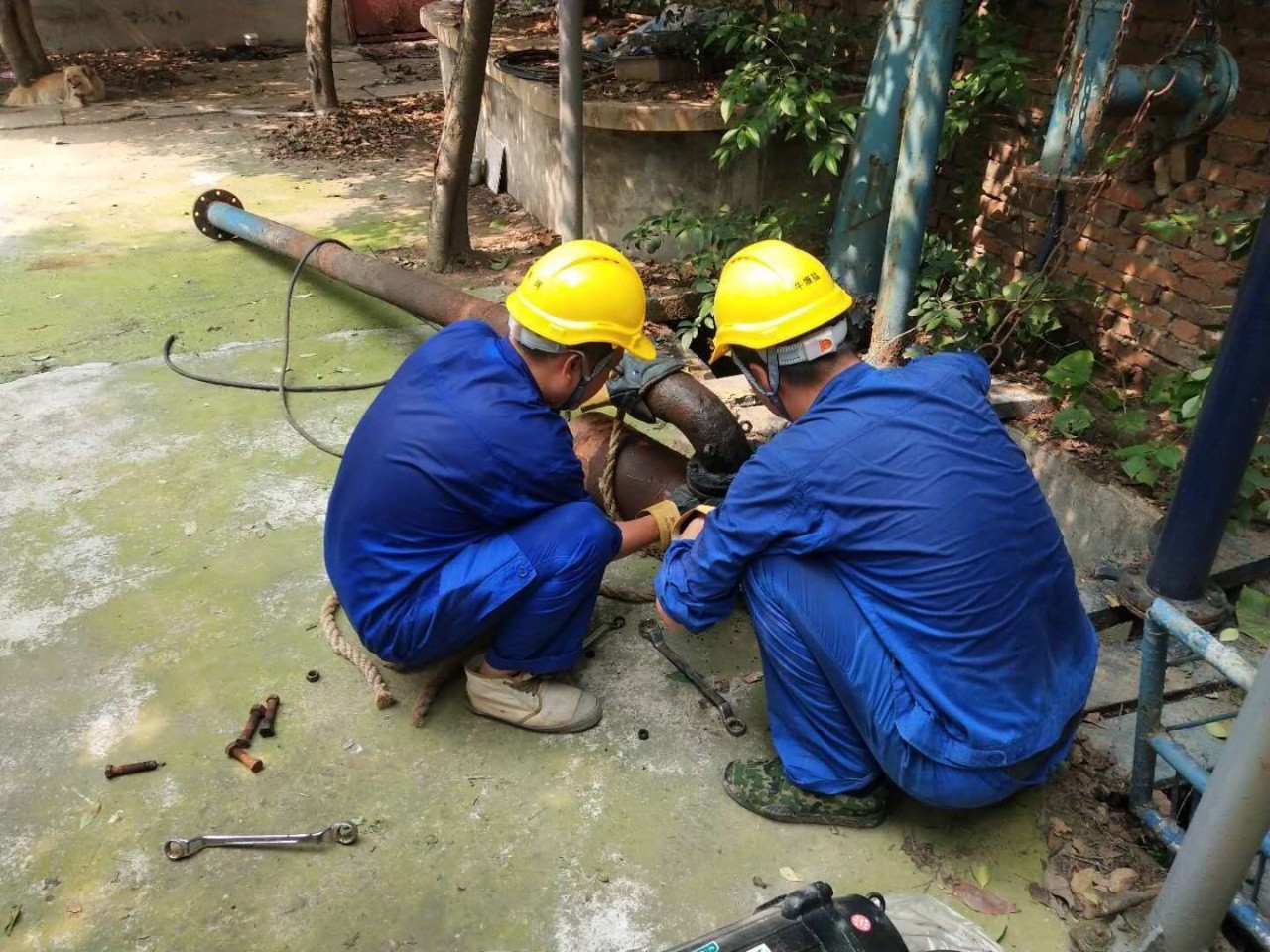 香港最快现场直播记录