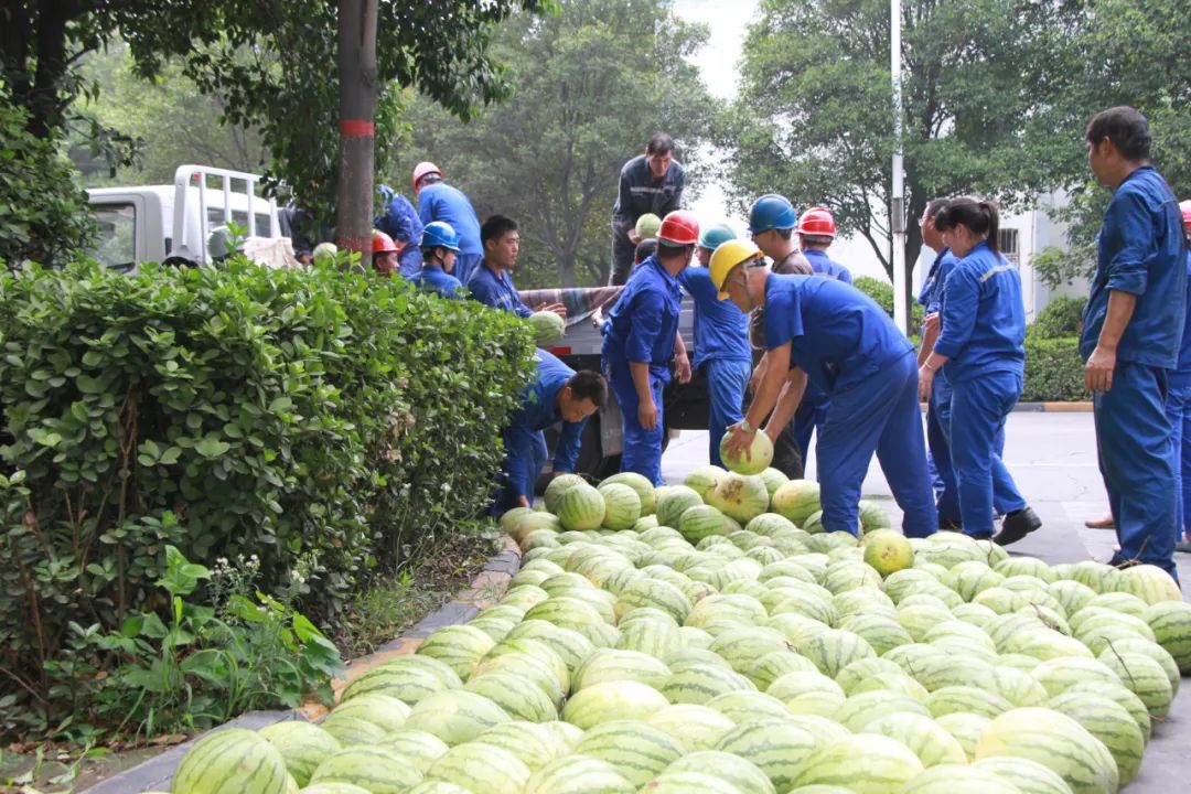 香港最快现场直播记录